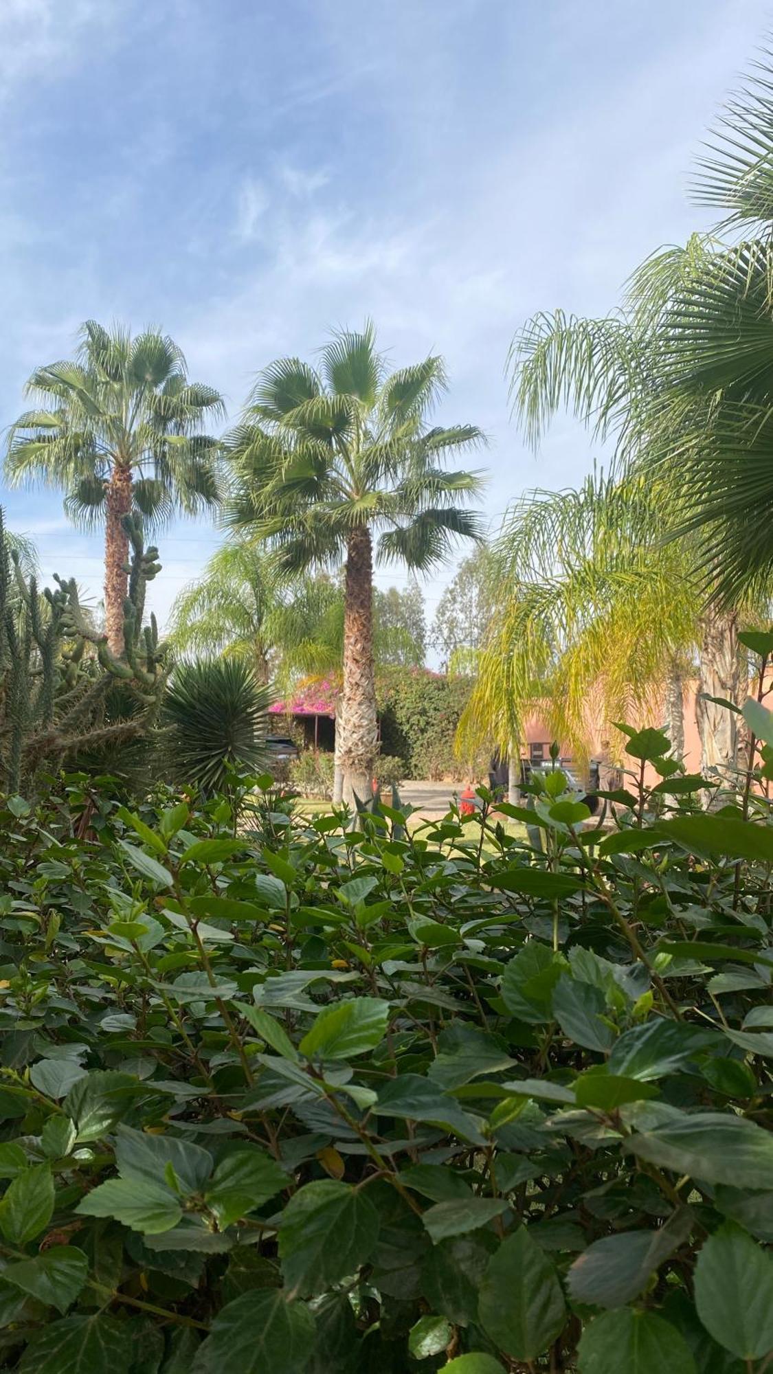 فندق Le Rubis Oriental Marrakech Azib Oulad Lâdem المظهر الخارجي الصورة